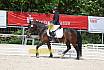 Freitag Reitpferdepr&uuml;fung