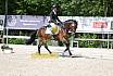 Freitag Reitpferdepr&uuml;fung