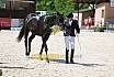 Freitag Reitpferdepr&uuml;fung