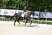 Freitag Reitpferdepr&uuml;fung