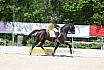 Freitag Reitpferdepr&uuml;fung
