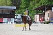 Freitag Reitpferdepr&uuml;fung
