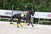 Freitag Reitpferdepr&uuml;fung