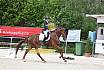 Freitag Reitpferdepr&uuml;fung