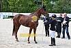 Freitag Reitpferdepr&uuml;fung