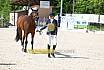Freitag Reitpferdepr&uuml;fung