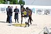 Freitag Reitpferdepr&uuml;fung