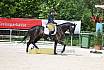 Freitag Reitpferdepr&uuml;fung