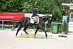 Freitag Reitpferdepr&uuml;fung