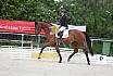 Freitag Reitpferdepr&uuml;fung