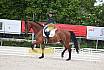Freitag Reitpferdepr&uuml;fung