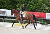 Freitag Reitpferdepr&uuml;fung